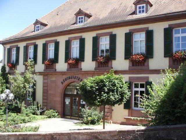 Hotel Irene Bad Konig Exterior photo