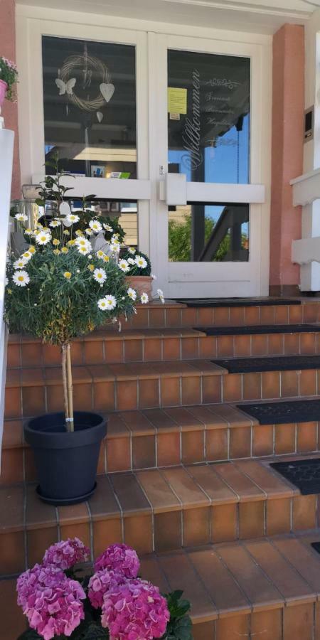 Hotel Irene Bad Konig Exterior photo
