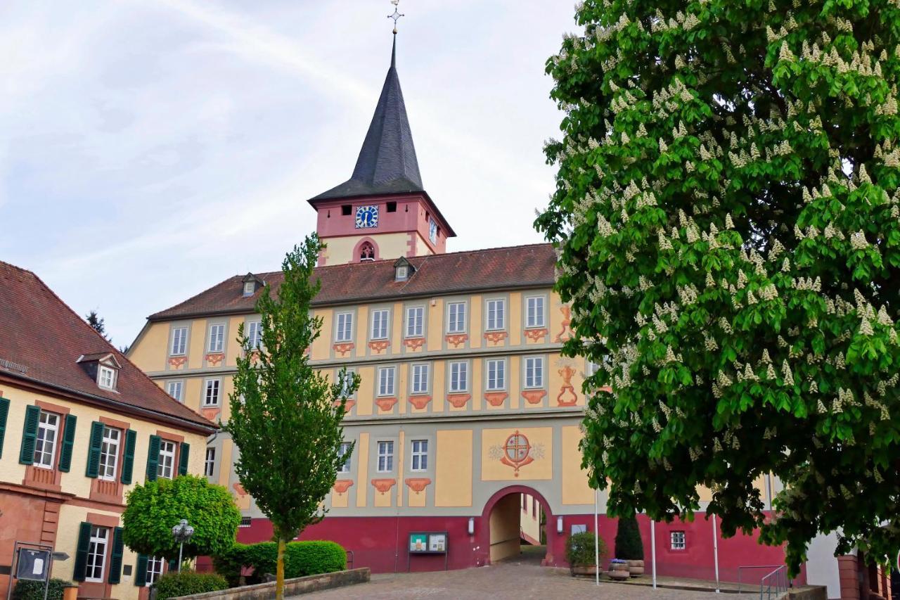Hotel Irene Bad Konig Exterior photo